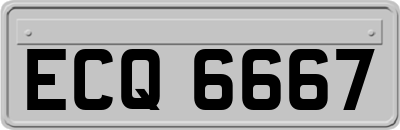 ECQ6667
