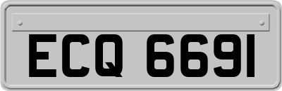 ECQ6691