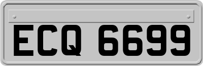 ECQ6699