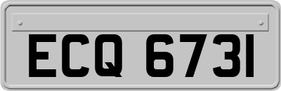 ECQ6731