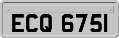 ECQ6751