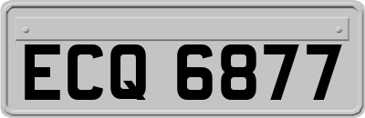 ECQ6877