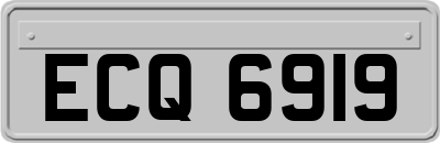 ECQ6919