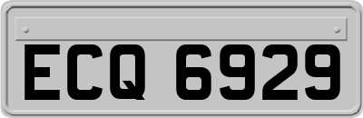 ECQ6929