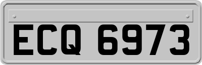 ECQ6973