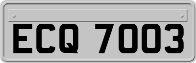 ECQ7003