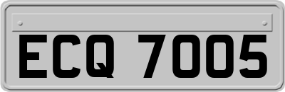 ECQ7005
