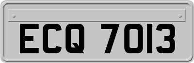 ECQ7013