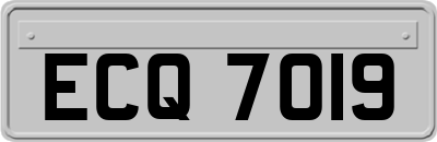ECQ7019