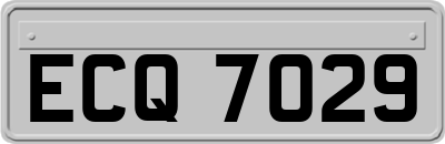 ECQ7029