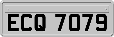 ECQ7079