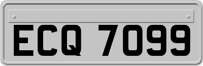 ECQ7099