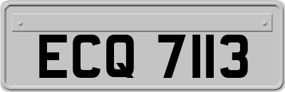 ECQ7113
