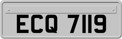 ECQ7119