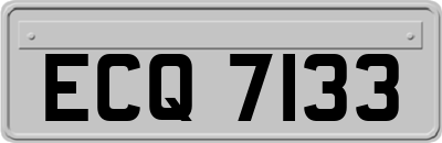 ECQ7133