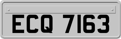 ECQ7163
