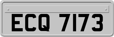 ECQ7173
