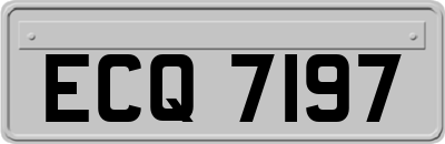 ECQ7197