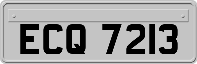 ECQ7213