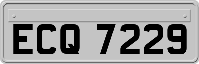 ECQ7229