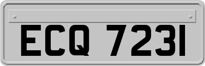 ECQ7231