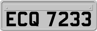 ECQ7233