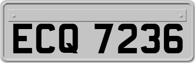 ECQ7236
