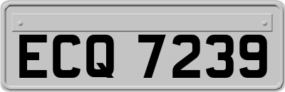 ECQ7239