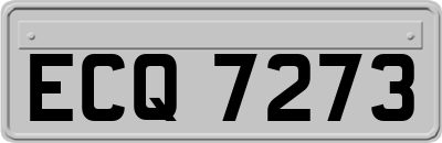 ECQ7273