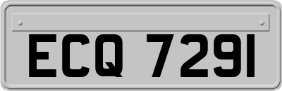 ECQ7291