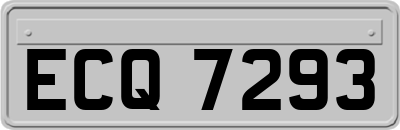 ECQ7293
