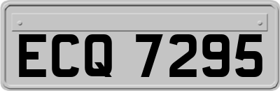 ECQ7295