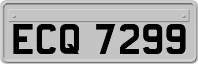ECQ7299
