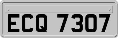ECQ7307
