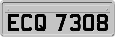 ECQ7308