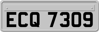 ECQ7309