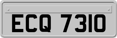 ECQ7310