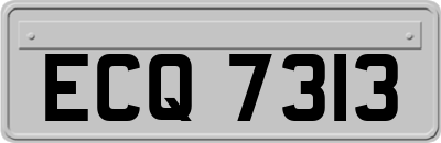 ECQ7313