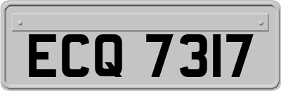 ECQ7317