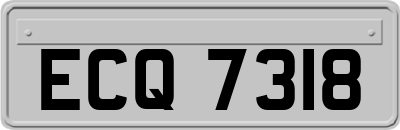 ECQ7318