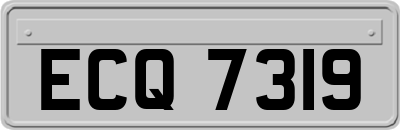 ECQ7319