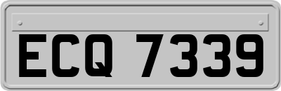 ECQ7339