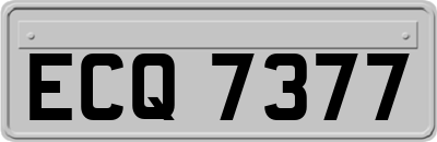ECQ7377