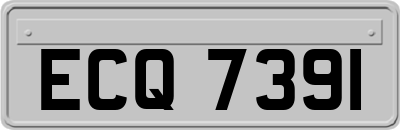 ECQ7391