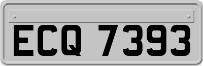 ECQ7393