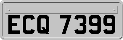 ECQ7399