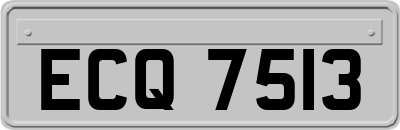 ECQ7513
