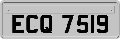 ECQ7519