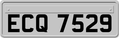 ECQ7529