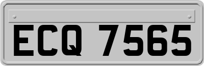 ECQ7565